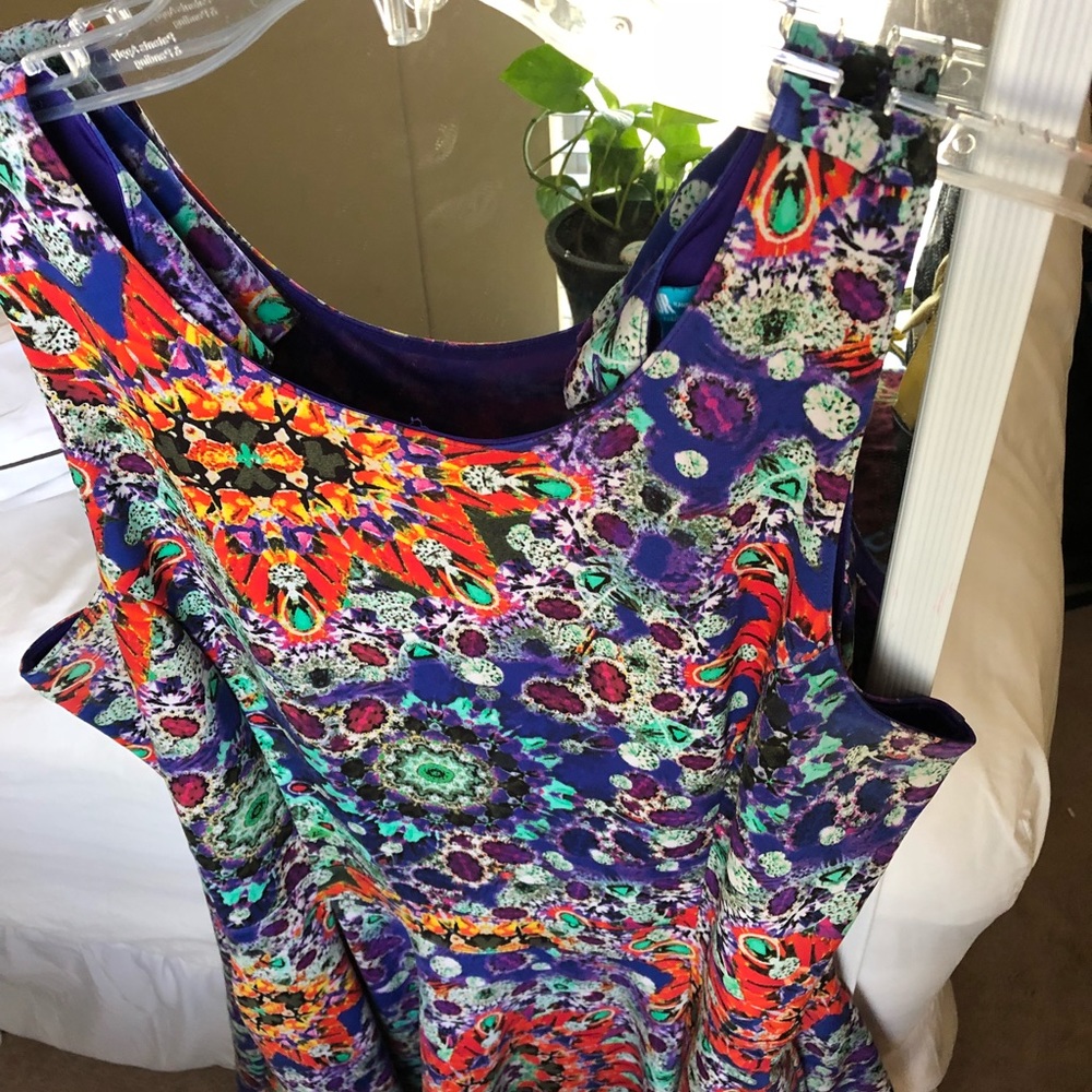 Scuba Skater Dress by Lamour by Nanette Lepore